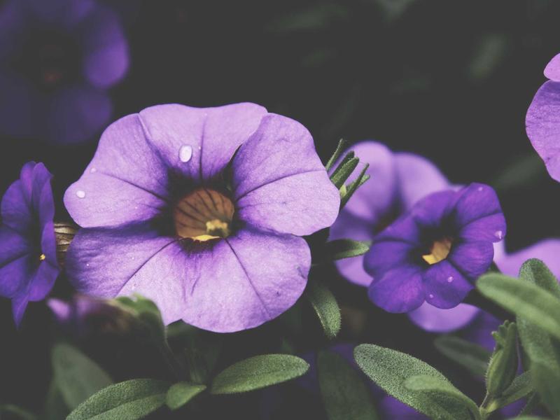 sudoku no mistakes screenshot 1